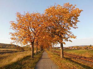 Herbst