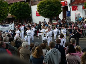 Bilder vom Festumzug Teil 2