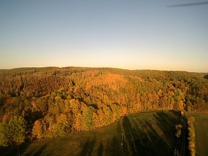 Vorharz
