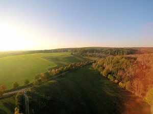 Vorharz