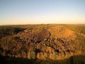 Vorharz