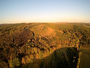 Vorharz