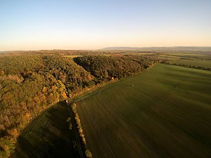Vorharz