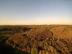Vorharz