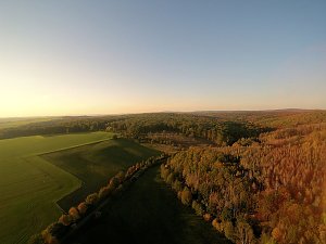 Vorharz