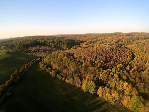 Vorharz