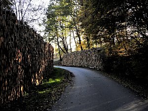 Vorharz