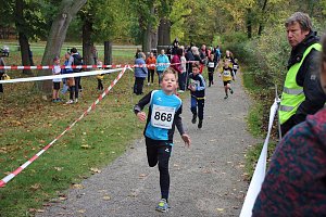 26. Stadtparklauf Sondershausen und...