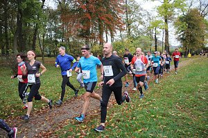 26. Stadtparklauf Sondershausen und...