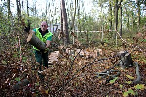 Feuerwehr beim Arbeitseinsatz