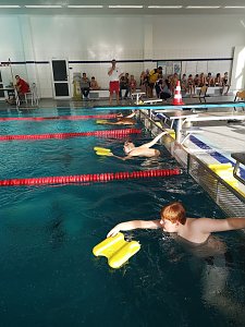 Kreisjugendspiele im Schwimmen durchgef&uuml;hrt