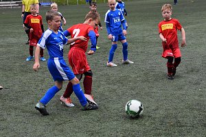 Wacker U8