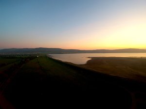 Die letzten Kraniche im Anflug