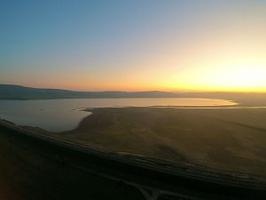 Die letzten Kraniche im Anflug