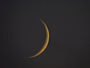 Die letzten Kraniche im Anflug