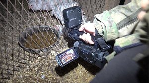 Tierschutzorganisation erhebt Vorw&uuml;rfe gegen Hundez&uuml;chterin aus Bleicherode