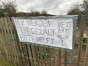 Tierschutzorganisation erhebt Vorw&uuml;rfe gegen Hundez&uuml;chterin aus Bleicherode