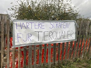 Tierschutzorganisation erhebt Vorw&uuml;rfe gegen Hundez&uuml;chterin aus Bleicherode