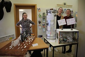 Ausstellung zu 30. J&auml;hrung des Mauerfalls