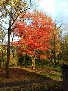 Indian summer