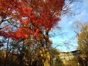 Indian summer