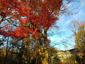 Indian summer