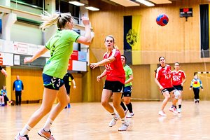 Das vergangenen Handball-Wochenende