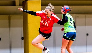 Das vergangenen Handball-Wochenende
