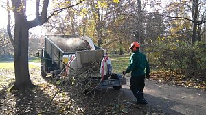 Im Stadtpark:  An Ort und Stelle zerkleinert ein Schredder abgestorbene und ausgelichtete &Auml;ste.