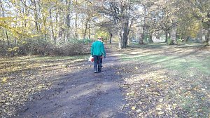 Im Stadtpark:  Mit einem Laubbl&auml;ser werden die Wege im Stadtpark ges&auml;ubert.