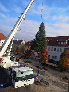 Weihnachtsmeldungen Bad Frankenhausen aktuell