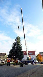 Weihnachtsmeldungen Bad Frankenhausen aktuell