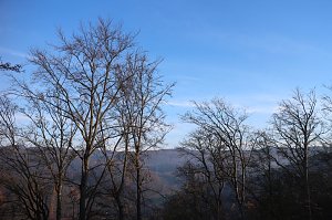 Der S&uuml;dharz, ein Nebelmeer