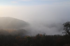 Der S&uuml;dharz, ein Nebelmeer