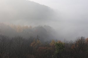 Der S&uuml;dharz, ein Nebelmeer