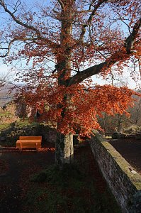 Der S&uuml;dharz, ein Nebelmeer