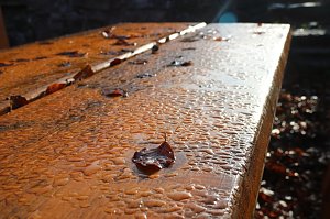 Der S&uuml;dharz, ein Nebelmeer