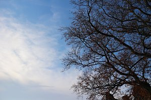 Der S&uuml;dharz, ein Nebelmeer