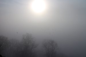 Der S&uuml;dharz, ein Nebelmeer