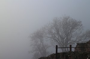 Der S&uuml;dharz, ein Nebelmeer