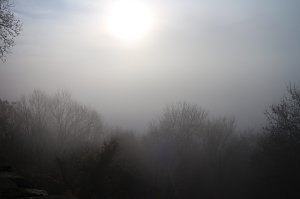 Der S&uuml;dharz, ein Nebelmeer