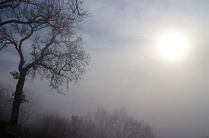 Der S&uuml;dharz, ein Nebelmeer