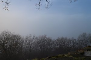 Der S&uuml;dharz, ein Nebelmeer