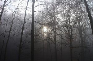 Der S&uuml;dharz, ein Nebelmeer