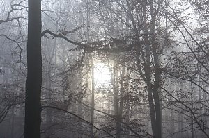 Der S&uuml;dharz, ein Nebelmeer
