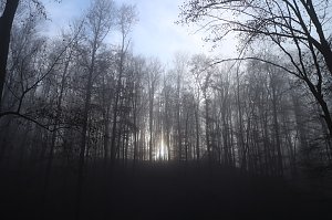 Der S&uuml;dharz, ein Nebelmeer