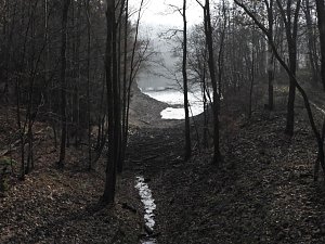 Ausflug zur Talsperre Wendefurth