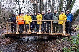 Brücke über Kappelbach