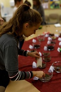 Weihnachtliche Stimmung am Herder-Gymnasium