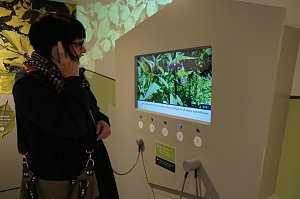 Neue Ausstellung "Harz erfrischend" in Neustadt. 